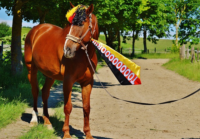 国脚关键传球完成制胜球