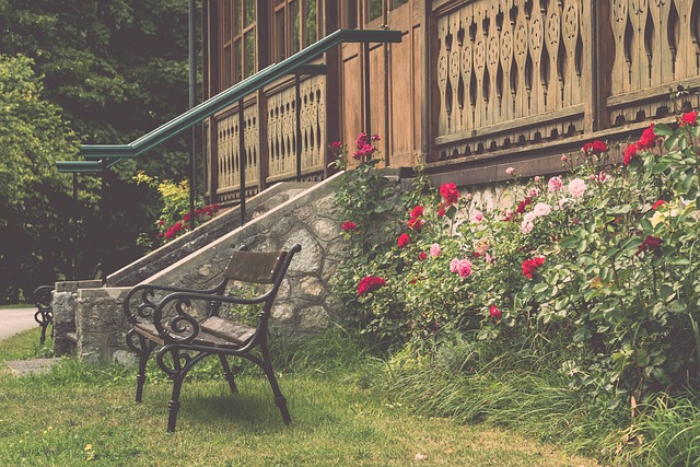 篮球勇士旧将发声力挺前队友